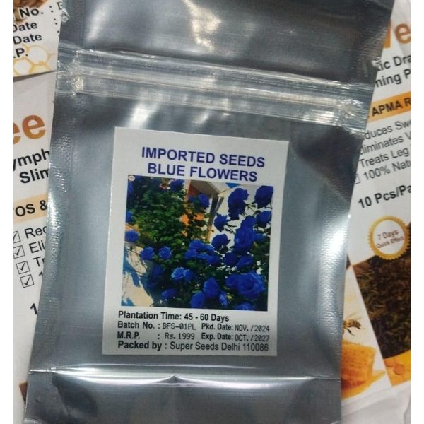 Blue Climbing Rose Seeds
